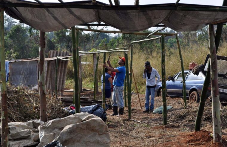 Justiça determina reintegração de área ocupada no Horto de Vergel