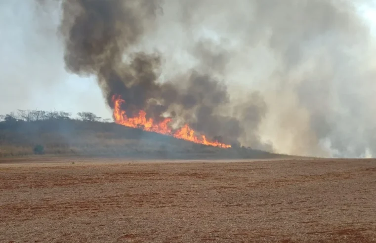 Defesa Civil diz que ação humana causou 99,9% dos incêndios em São Paulo