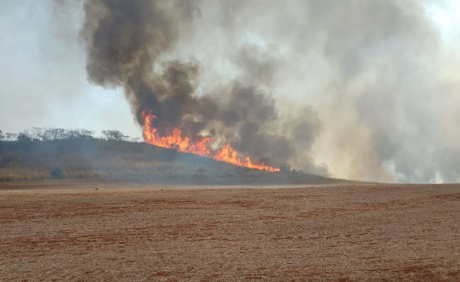 Defesa Civil diz que ação humana causou 99,9% dos incêndios em São Paulo