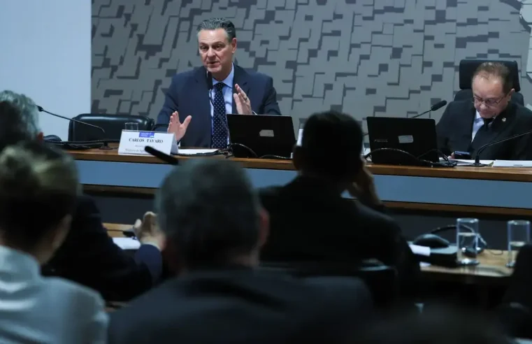 Ministro da Agricultura anuncia que foco de gripe aviária está contido