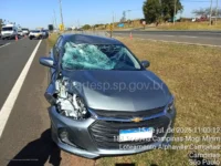 Pedestre morre após ser atropelado por veículo na SP-340 em Campinas