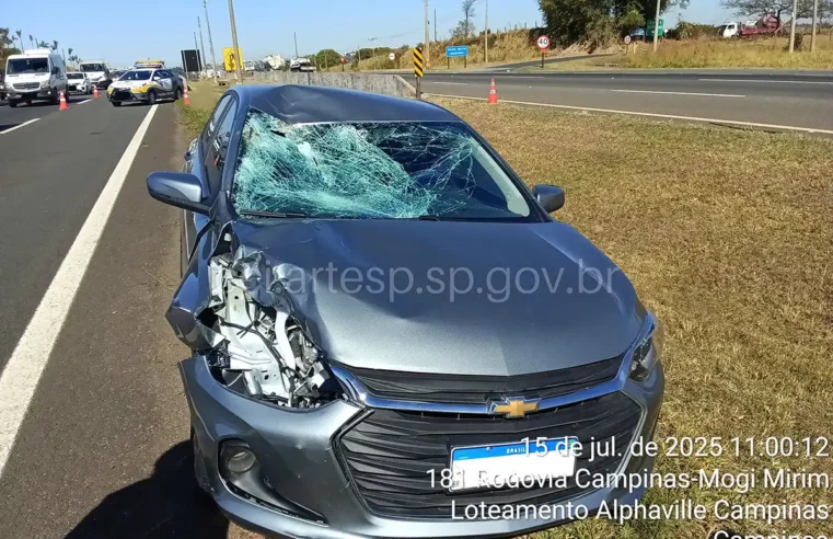 Pedestre morre após ser atropelado por veículo na SP-340 em Campinas