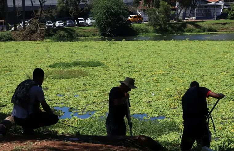 Empresa contratada desiste de executar limpeza do lago do Zerão