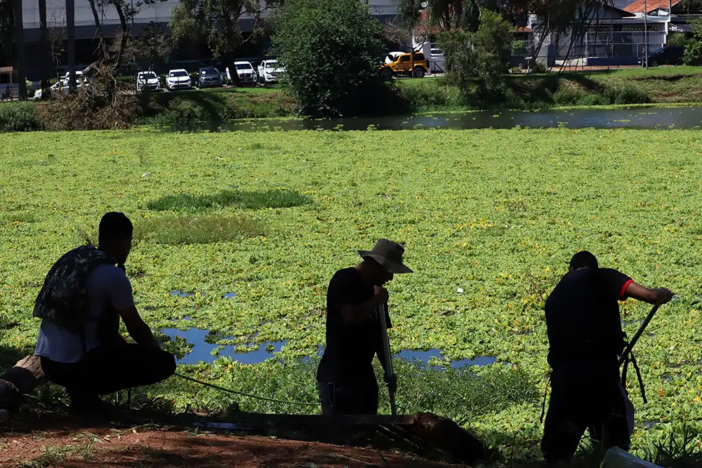 Empresa contratada desiste de executar limpeza do lago do Zerão