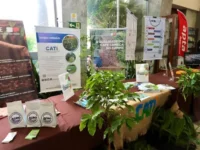 Produtores de café de Itapira estão entre os melhores do estado em premiação da Cati