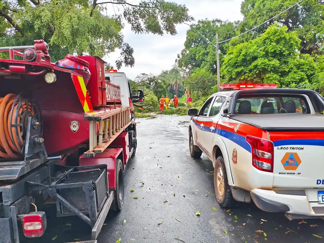 Temporal provoca queda de árvores e alagamentos em Martim Francisco