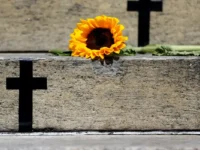 Crimes recentes mostram grave cenário de violência contra a mulher