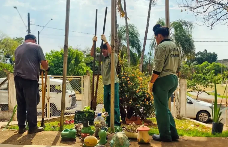Projeto Escola Mais Verde planta 330 mudas em 7 unidades escolares de Mogi Mirim