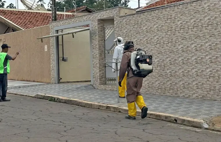 Aumento repentino de casos de dengue leva nebulização ao Parque do Estado 2