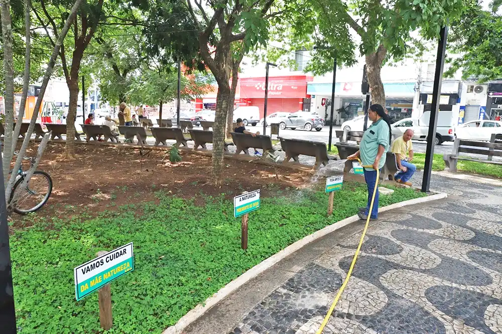Mogi Mirim revitaliza Praça Rui Barbosa com mais de duas mil mudas de plantas