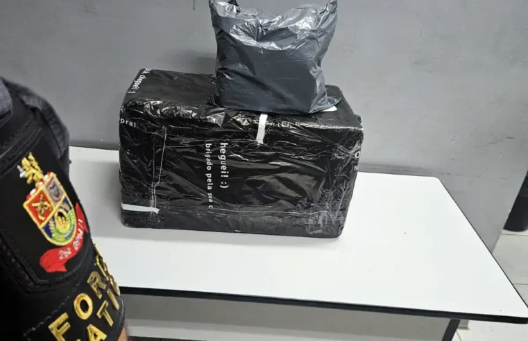 Força Tática apreende grande carga de anabolizantes e substância ilícita em Mogi Guaçu
