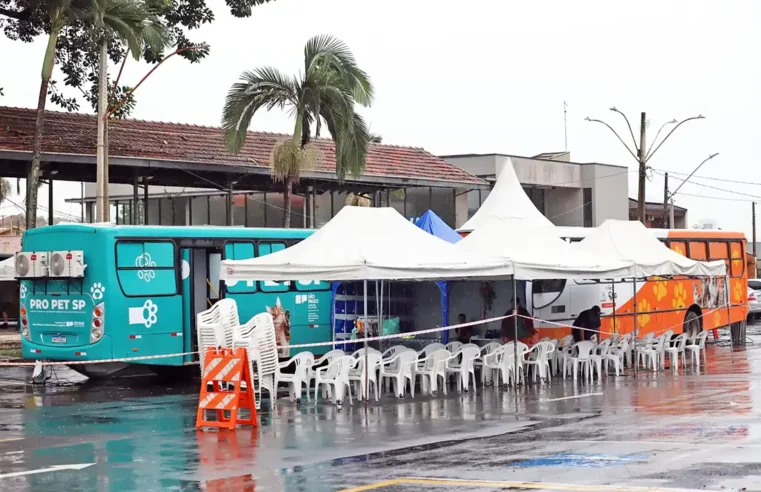 Mogi Mirim inicia mutirão de castração de cães e gatos no Espaço Cidadão