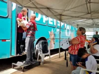 Castração gratuita de cães e gatos registra 275 procedimentos realizados em Mogi Guaçu