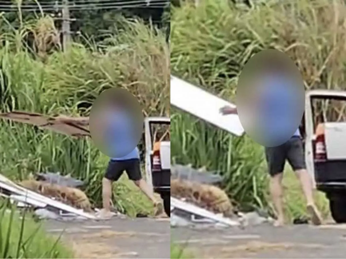 Homem é multado em R$ 2,5 mil por descarte irregular em Itapira