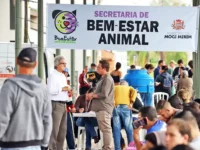 Mutirão de castração atende quase 300 cães e gatos em Mogi Mirim