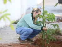 Arborização urbana em Mogi Mirim terá impulso com novos plantios de mudas