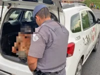 Homem mata o próprio irmão após briga em Mogi Mirim