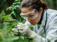 Governo de SP fará concursos públicos com quase 300 vagas para gestão ambiental e hídrica