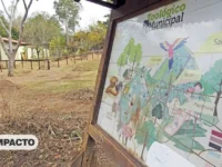 Reabertura do Zoológio de Mogi Mirim pode ocorrer ainda este ano, sinaliza Prefeitura