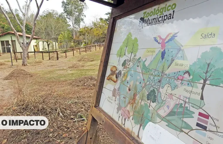 Reabertura do Zoológio de Mogi Mirim pode ocorrer ainda este ano, sinaliza Prefeitura