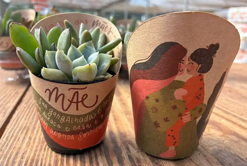 Dia das Mães movimenta 18% das vendas anuais de flores e plantas ornamentais