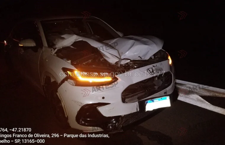Ciclista morre atropelado na SP-147, em Engenheiro Coelho
