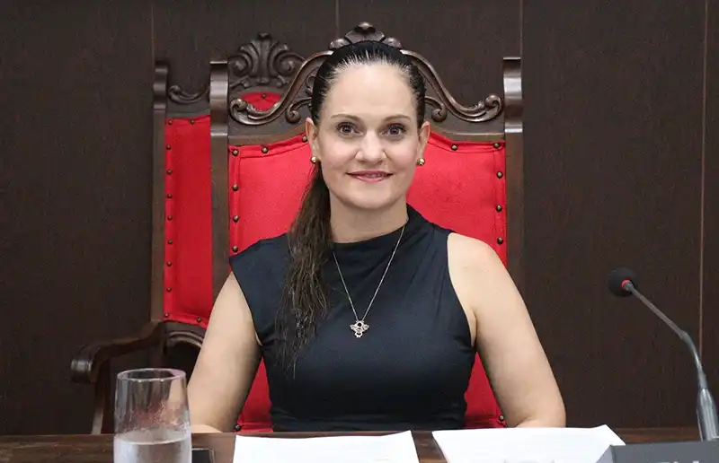 Campanha quer incentivar doação de ração para animais de famílias de baixa renda e protetores