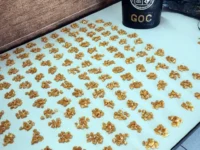 GCM apreende mais de 2,5 mil pedras de crack em Mogi Guaçu