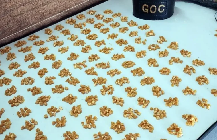 GCM apreende mais de 2,5 mil pedras de crack em Mogi Guaçu