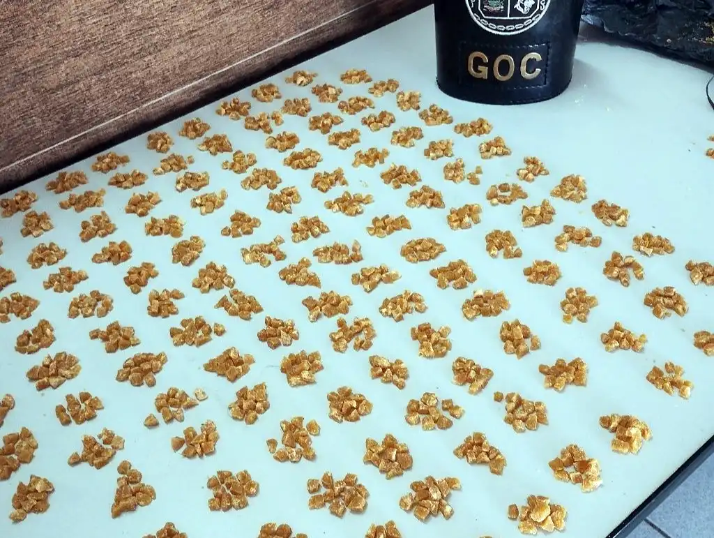 GCM apreende mais de 2,5 mil pedras de crack em Mogi Guaçu