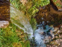 Programa ambiental visa recuperação de minas, nascentes e cursos d’água em Mogi Mirim
