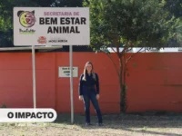 BEA amplia atendimentos e planeja funcionamento também aos sábados