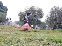Prefeitura promove mutirão de serviços na região do Parque do Estado 2