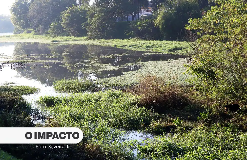 Prefeitura vai desassorear o lago e fazer a limpeza do Zerão