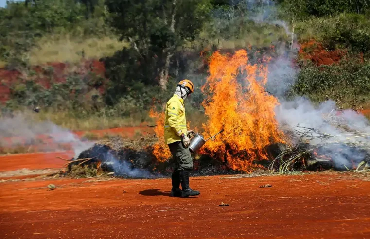 9 de cada 10 incêndios no estado são provocados por ação humana