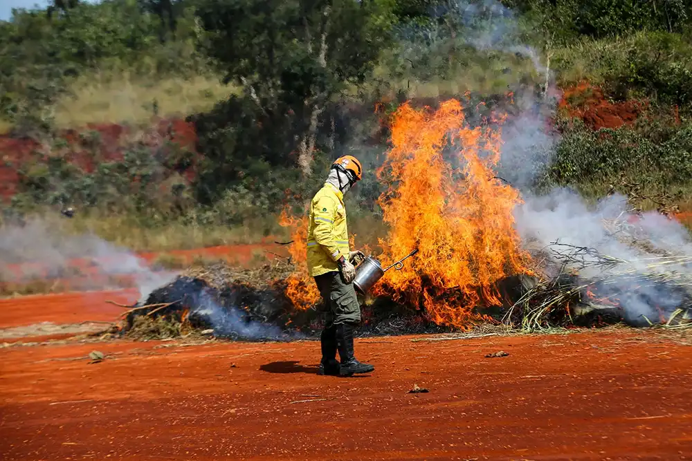 9 de cada 10 incêndios no estado são provocados por ação humana