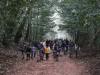 Horto reúne cerca de 500 pessoas em domingo de lazer, cultura e conexão com a natureza