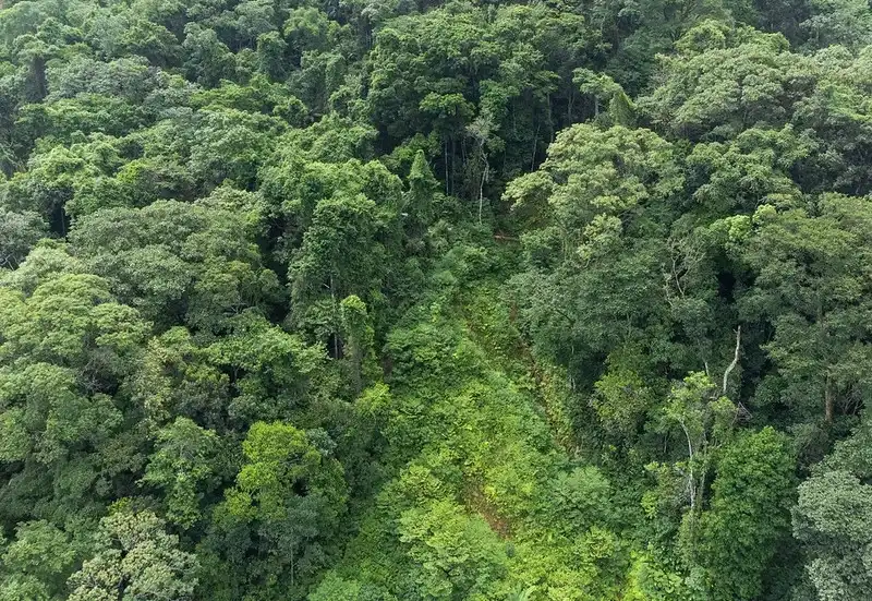 Fundação Florestal recebe inscrições de concurso público para 68 vagas