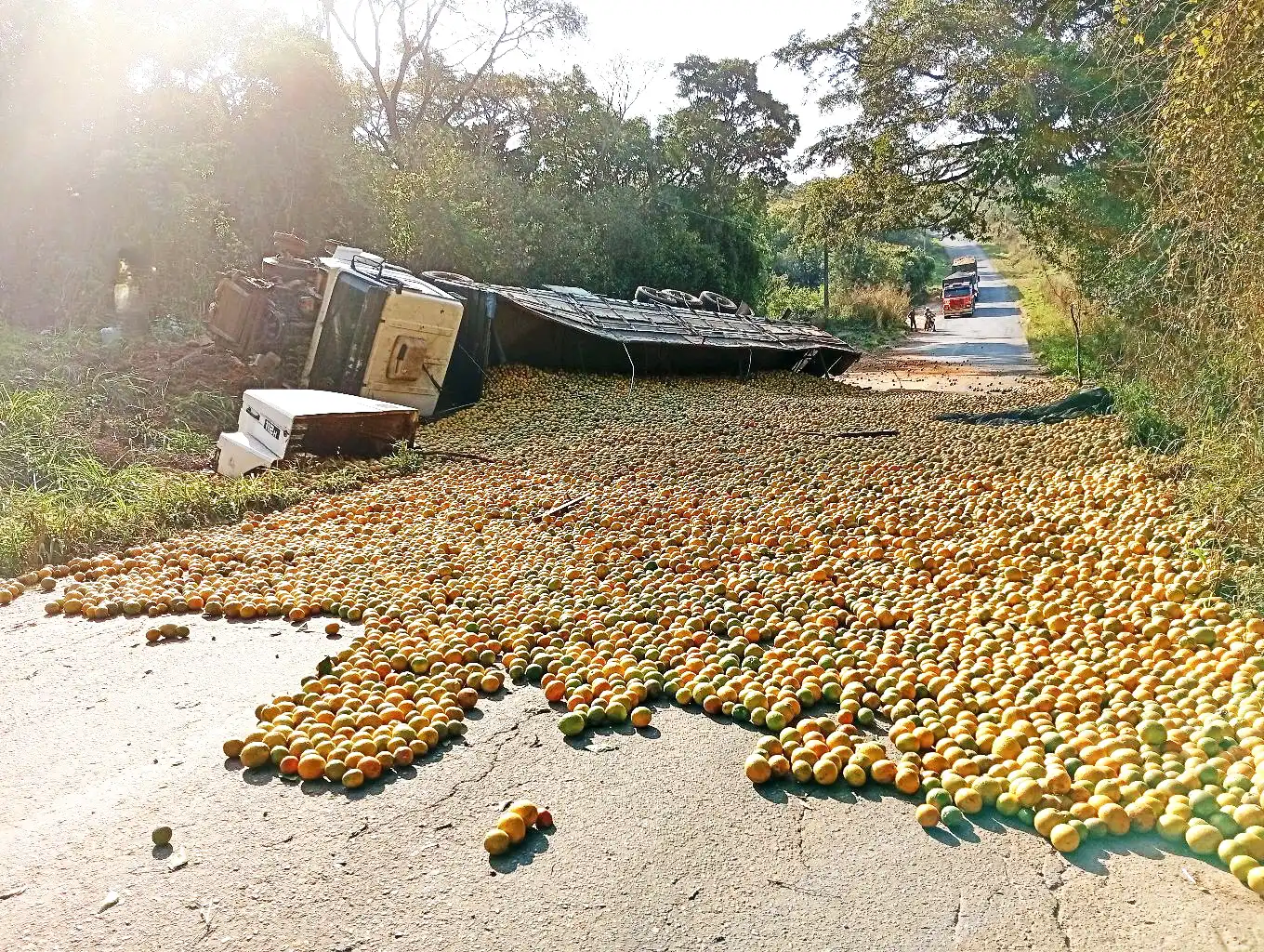 Carreta carregada de laranjas tomba e interdita estrada em Mogi Guaçu