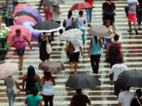 Defesa Civil alerta para previsão de chuva, com rajadas de ventos e raios nesta quarta-feira